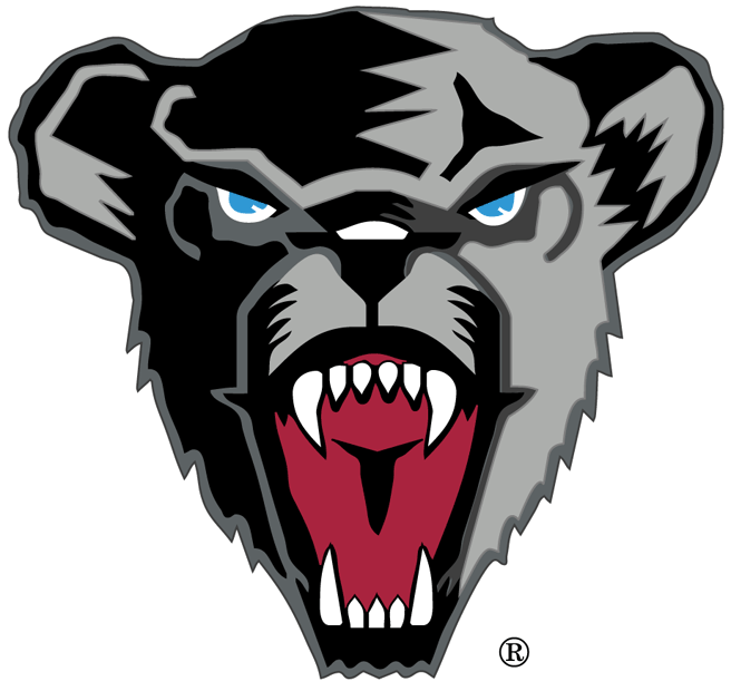 Maine Black Bears 1999-Pres Secondary Logo diy DTF decal sticker